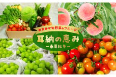 おまかせ旬野菜＆フルーツ　耳納の恵み　春夏秋冬2～10kg×2ケース　