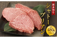 柳川産 博多和牛 シャトーブリアン 約120g×4 計約480g 肉 牛肉 和牛