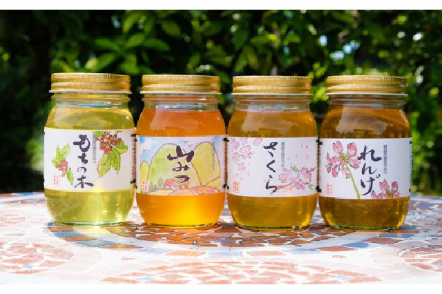 採蜜日2023年10月600g×4本 日本蜜蜂の蜂蜜[地蜜(山蜜)]天然100% - その他