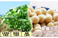 和農BARU　乾燥大豆（フクユタカ）【栽培期間中：化学肥料・農薬・除草剤不使用】