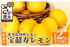 B-127  希少な国産レモン【宝韶寿レモン】訳アリ　約2kg（サイズ混合）