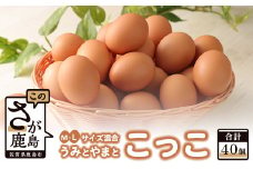 B-390 佐賀県鹿島産 平飼い卵「うみとやまとこっこ」上田養鶏場 たまご40個