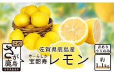 A-140【訳あり】低温蔵出し 宝韶寿レモン 約1.2kg（小玉のみ）ノーワックス