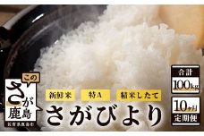 Q-3【新鮮米】佐賀県鹿島市産さがびより 白米10kg（5kg×2）定期便（１０か月お届け）