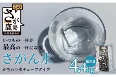 さがん氷【かちわり氷】キューブタイプ【1.1ｋｇ×４袋】藤津製氷 A-171
