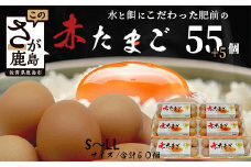 【鹿島市産のたまご】肥前のおいしい赤たまご　６０個（５５個＋破損補償５個入り）　B-711