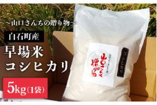 【先行予約】【令和6年産新米】特別栽培米 早場米 コシヒカリ 5kg ～山口さんちの贈り物～【y'scompany】 [IAS001]