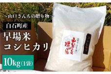【先行予約】【令和6年産新米】特別栽培米 早場米 コシヒカリ 10kg（10kg×1）～山口さんちの贈り物～【y'scompany】 [IAS002]