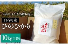 令和5年産 特別栽培米 ひのひかり 10kg 白米～山口さんちの贈り物～【y'scompany】 [IAS009]