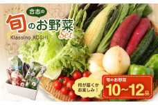 合志の旬の お野菜 セット 10～12品