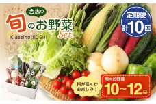 熊本県 合志の旬の お野菜 定期便 年10回 コース