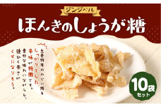 ほんきのしょうが糖 40g×10袋 セット しょうが 生姜 和菓子