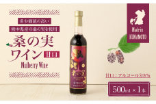 桑の実 ワイン (甘口) 500ml×1本 熊本県産 マルベリー 果実酒