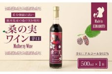 桑の実 ワイン (辛口) 500ml×1本 熊本県産 マルベリー 果実酒
