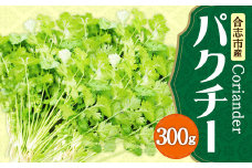 合志市産 パクチー 300g (300g×1袋) 料理 トッピング 野菜 