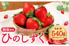【2023年12月下旬発送開始】糖蜜使用・こだわりイチゴ ひのしずく 約270g×2パック 大玉 3Lサイズ  苺 フルーツ 果物 合志市産 熊本県産 国産