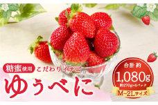 【2023年12月下旬発送開始】糖蜜使用・こだわりイチゴ  ゆうべに 約270g×4パック M~2Lサイズ 苺 フルーツ 果物 合志市産 熊本県産 国産