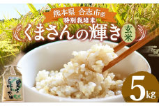 熊本県 合志市産 くまさんの輝き 玄米 5kg(5kg袋×1) 令和5年産 米