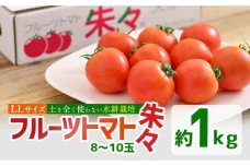 フルーツトマト 朱朱 LLサイズ (計1kg・8-10玉) 【CH61】【(株)サニープレイス】