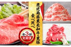 【全3回】鹿児島県黒毛和牛・黒豚食べ比べ定期便　K000-T2309