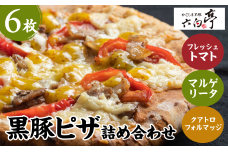 【かごしま黒豚 六白亭】黒豚ピザ詰め合わせ　6枚　K163-012