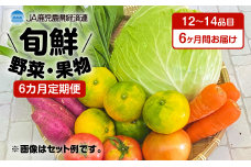 【JA直売所セレクト】6ヵ月定期便！旬鮮野菜・果物セット（12～14品目）　K072-T01