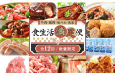 【全12回・数量限定】牛肉・豚肉・生ハム・名水「食生活満足便」　K086-T01