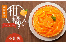 柑橘タルト（不知火）　K185-003
