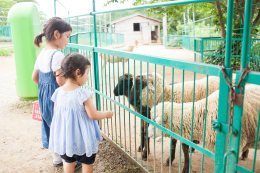 （7）子どもたちの笑顔があふれ、未来につながる生物多様性の動物園再生プロジェクト